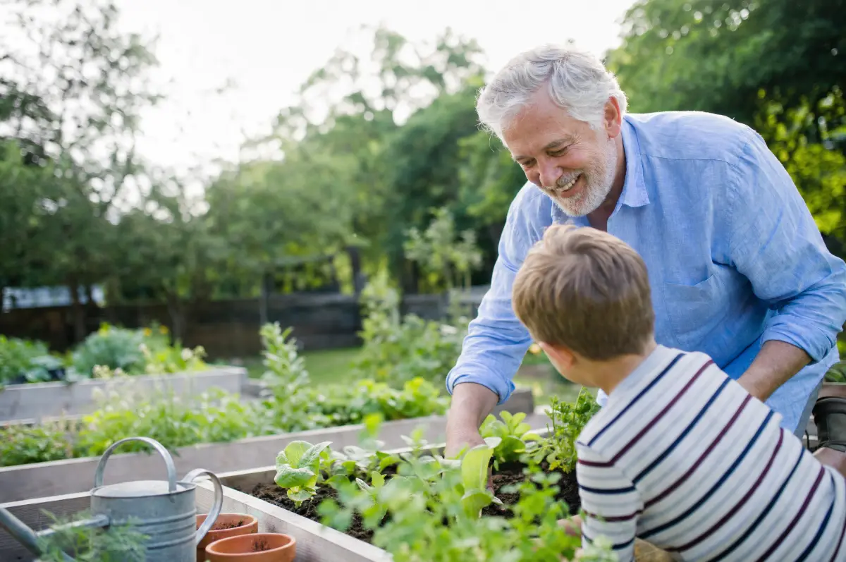 Grandfather gardening with his grandson in a vegetable patch